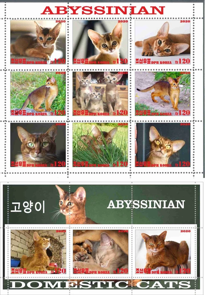 Stamp sheet+block Abyssinian Cats Korea issue 2020 - Image 1 of 1