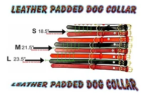 Dog Collar Soft Leather Padded Heavy Duty Buckle - Picture 1 of 10