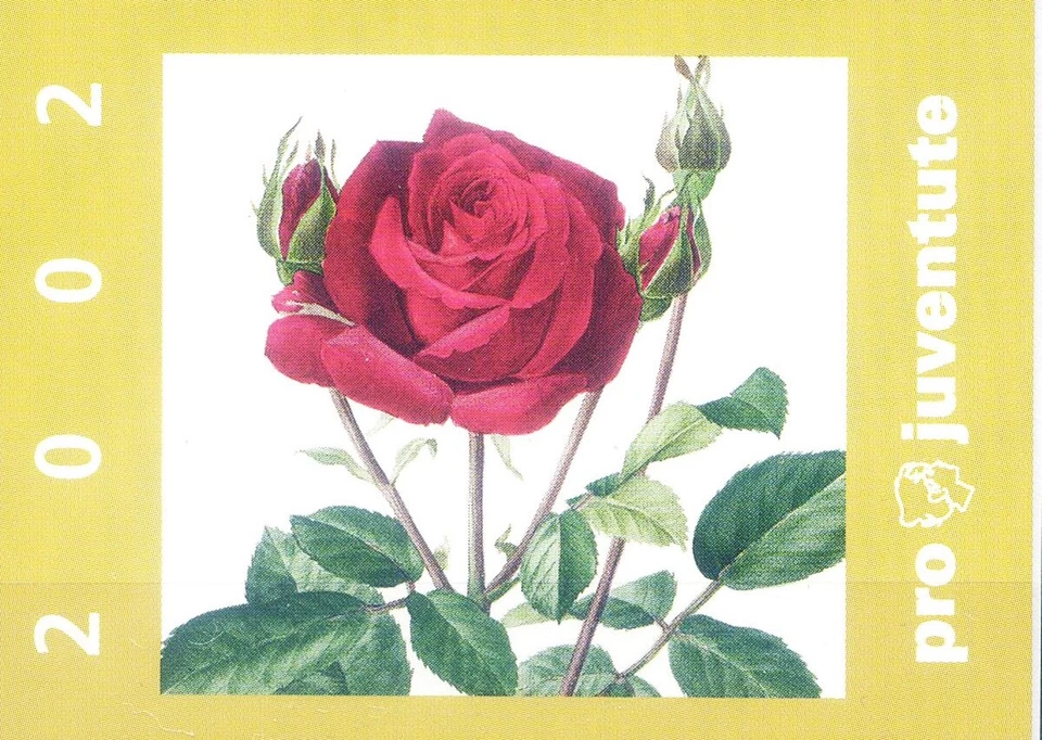 Pro Juventute 2002. Booklet. - Image 1 of 1