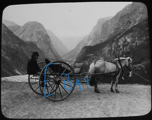 Photo NORWAY NORWEGIAN PONY AND TRAP Magic Lantern Slide C1900 OLD ANTIQUE - Picture 1 of 5