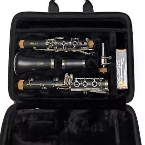 Yamaha YCL 250 Clarinet w/ Case - Picture 1 of 19