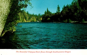 Umpqua River Oregon Near North and South Fork Roseburg RPPC - Picture 1 of 2