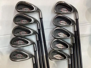 Callaway BIG BERTHA IRONS 2004 US Iron Set 3-10,W,Sw 10pc Flex Regular RCH 75i - Picture 1 of 5