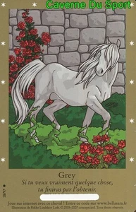 18/97 GREY CARTE CARD BELLA SARA COLLECTION 2005 - 2007 - D - Picture 1 of 1