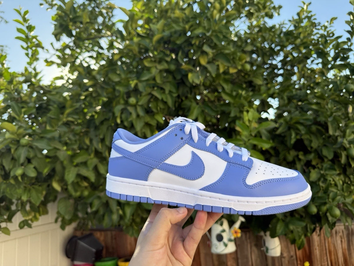 Nike Dunk Low Polar Blue | eBay
