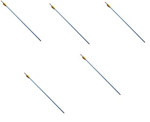 EK ARCHERY SET 5 X FRECCIA IN ALLUMINIO PER TIRO  ARCO 30 POLLICI BLU D016 - Foto 1 di 2