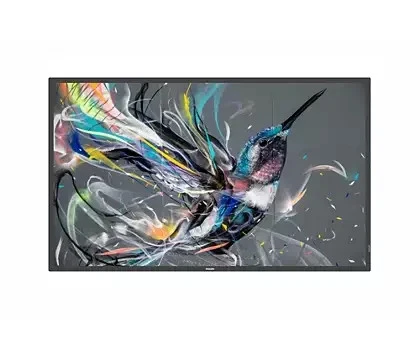 Philips Q-Line 65 " 3840 X 2160 Pixels 4K Ultra Hd Hdmi Dvi Usb Android Display - Image 1 of 1