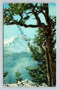 Postkarte Pikes Peak im Winter schmilzt Schnee Colorado - Bild 1 von 2