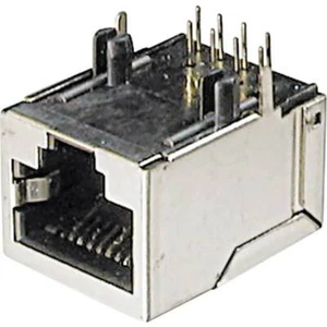 ASSMANN WSW A 20042 LP/FS PRESA MODULARE DA PANNELLO - Foto 1 di 1