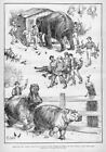 HIPPOPOTAMUS CENTRAL PARK MENAGERIE ELEPHANT BY F. S. CHURCH 1890 HIPPO HISTORY