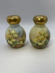 Vintage Bavaria Hand Painted Flowers Salt & Pepper Shaker Set Gold Tops Signed - Picture 1 of 13