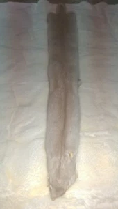 Perlen Nerz Pelz Haut - weiblich - Bild 1 von 4