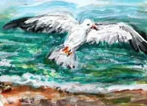 ORIGINAL ACEO Gemälde weiße MÖWE Strand Wellen OZEAN VOGEL Sommermöwe Meer KUNST - Bild 1 von 1