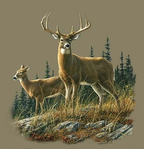 Plush Queen Size Deer Blanket - Extremely Soft - Autumn Whitetails - Picture 1 of 3