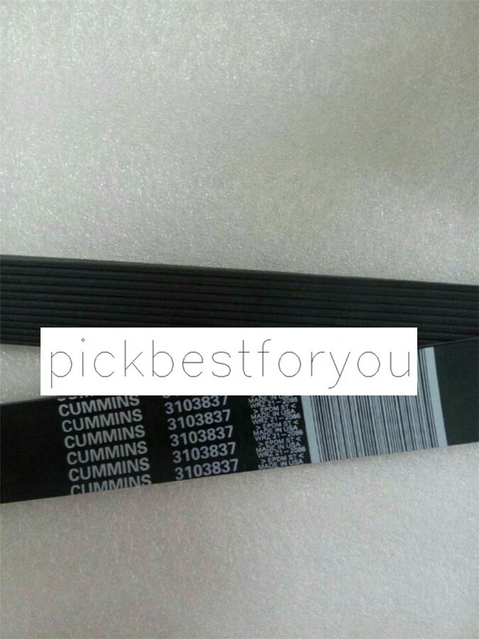1PCS  Fan Belt 3103837 - Image 1 of 1