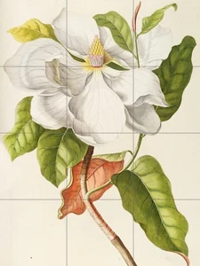 Panel de cerámica de mosaico de una magnolia de Ehret azulejo mural arte de pared - Imagen 1 de 4