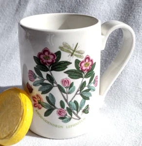 PORTMEIRION BOTANIC GARDEN Coffee Mug RHODODENDRON VTG England - Picture 1 of 5