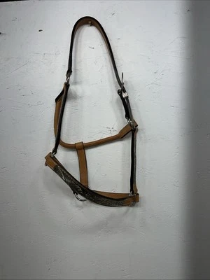 Nuevo Halter Caballo Cuero Genuino Aceite Ligero con Placa Metal Plata W-21 Foto 1 de 4