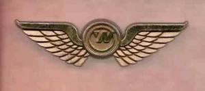 NORTHWEST AIRLINES GOLD KIDDIE PILOT JUNIOR WINGS Pin - Bild 1 von 1