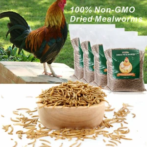 5 lbs Bulk Dried BSF Mealworms for Wild Birds Food Chickens Hen Fish Treats Food - Picture 1 of 7