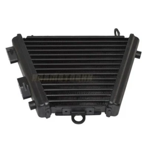 Engine Radiator Motor Water Cooler For Suzuki GSXR1000 GSX-R1000 2009-2016 - Picture 1 of 5