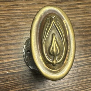 Vintage Antique Brass Art Nouveau Door Closet Knob Fixed Rosette Lily Tulip - Picture 1 of 8