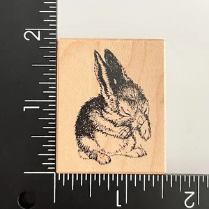 PSX Hase Kaninchen D1269 Holzstempel - Bild 1 von 3