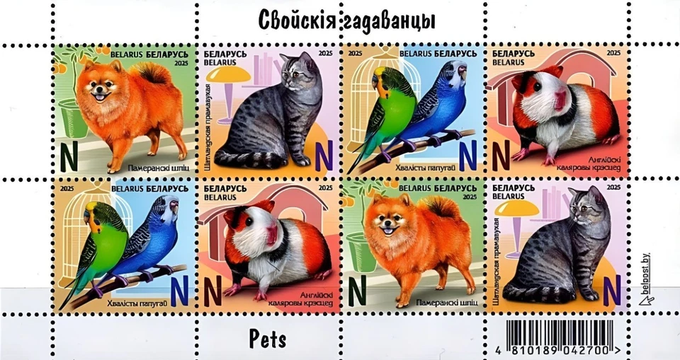 白俄罗斯 2025。  动物 狗 猫 鸟类 纪念单 全新无标签 — 第 1/1 张图片