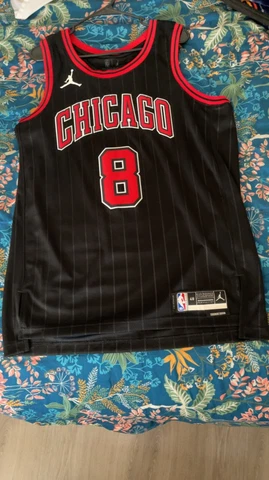 Zach Lavine Jordan Chicago Bulls Statement Swingman Jersey Large Cover