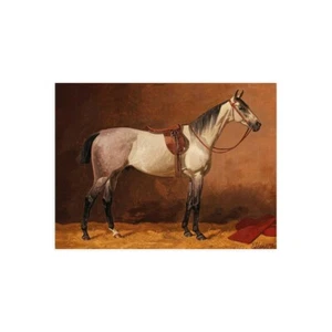 Leinwanddruck auf Papier Poster oder Gemälde Emil Volkers Saddled sport horse - Bild 1 von 2