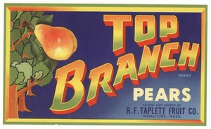 *Original* TOP BRANCH Wenatchee Wash PEAR Crate Label NOT A COPY! - Picture 1 of 1