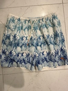 mens swim trunks lined Size Large - Picture 1 of 3