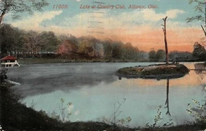 The Alliance Lake At Country Club Scene Alliance,OH Vtg 1913 Postcard - Picture 1 of 2