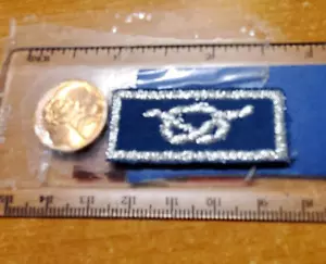BSA District Award of Merit Award, leader knot, plastic back, current issue - Picture 1 of 2