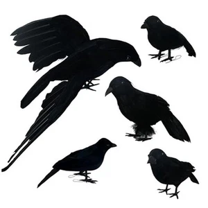 5 Pack Halloween Black Feathered Crows, Realistic Feathered Black Birds - Picture 1 of 7