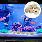  6 Pcs Fish Tank Sea Urchin Shells Succulent Pot Decoration Lantern