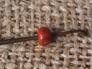 h12. Red coral hairpin for Geisha Japanese antique - Picture 1 of 7