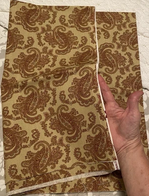 New Waverly 'Pretty Paisley Outdoor Fabric 45" width x scant 1 yard (34") - Image 1 of 4