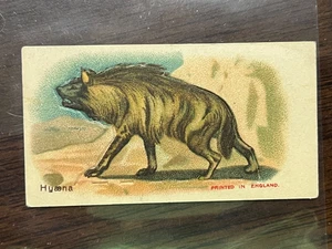 HYAENA #2 MILLBANK SIGARETTA SERIE A ANIMALI CARTA TABACCO - Foto 1 di 2