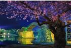 Sky Story 1000 Piece Kagaya Jigsaw Puzzle Kintaikyo Bridge Night Cherry Blossoms