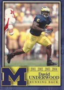 TK LEGACY MICHIGAN DAVID UNDERWOOD #L104 - Picture 1 of 2