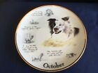 Danbury Mint The Border Collie Year ?October ? plate