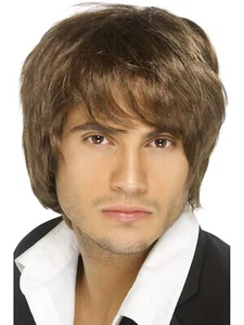Brown Boy Band Short Wig Music Pop Star 60s 70s 80s 90s Pretty Boy Costume - Picture 1 of 1