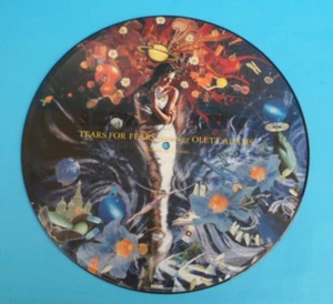 TEARS FOR FEARS Picture Disc + Poster Woman In Chains 12P181 IDEAP 16 12" LP - Picture 1 of 10