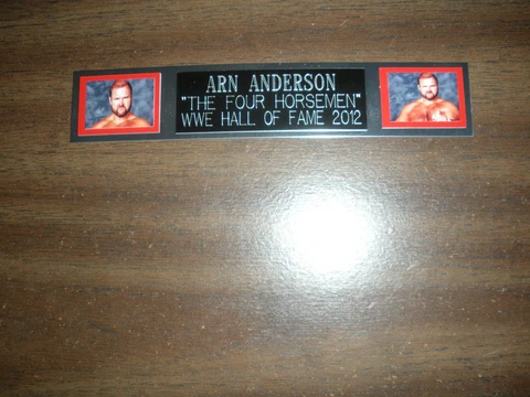 ARN ANDERSON (WRESTLING) NAMEPLATE FOR SIGNED TRUNKS DISPLAY/PHOTO/PLAQUE Cover