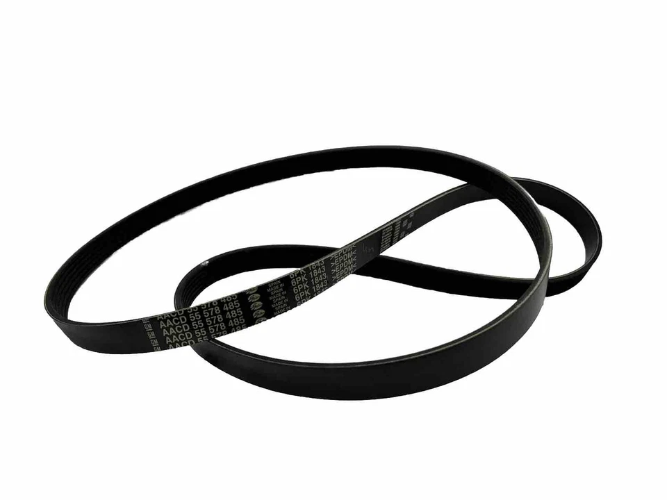 通用正品原始设备制造商 55578485 V 型带蛇形皮带,2014 - 2015 雪佛兰科鲁兹 — 第 1/4 张图片