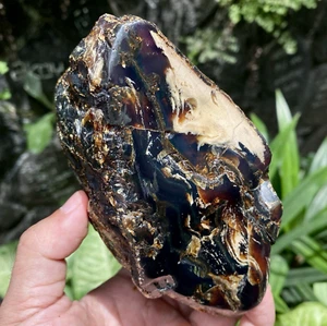 351Gr Natural TOP Raw Amber Indonesia Specimen Rough Crsystal - Picture 1 of 20