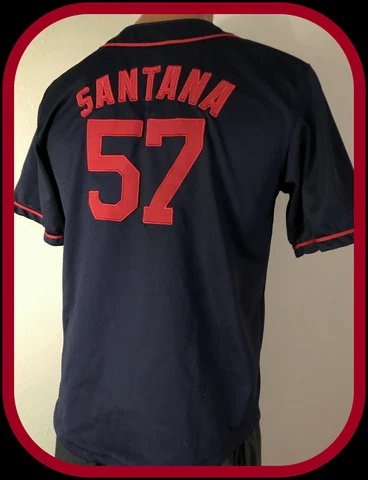 MINNESOTA TWINS MAJESTIC JOHAN SANTANA SEWN ON FIELD JERSEY YOUTH LG 14-16 Cover
