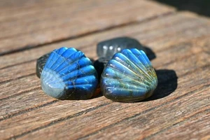 1.1" Natural Labradorite carved shell Reiki Crystal ornament Heal decor Gift 1pc - Picture 1 of 10