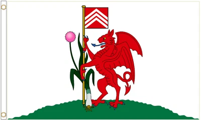 Cardiff City Polyester 5'x3' Flag - Image 1 of 3